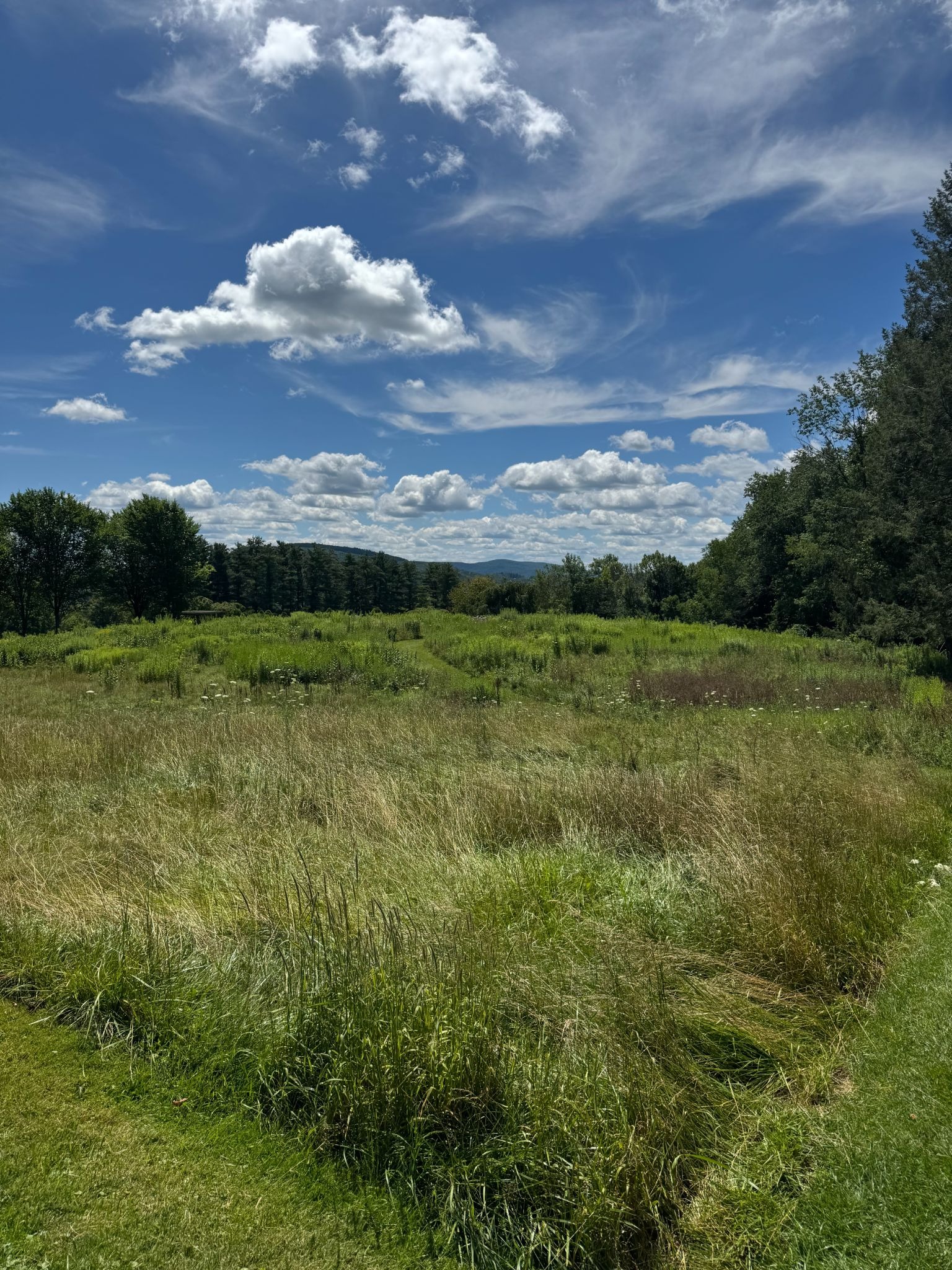 field with blue skies at Kripalu
